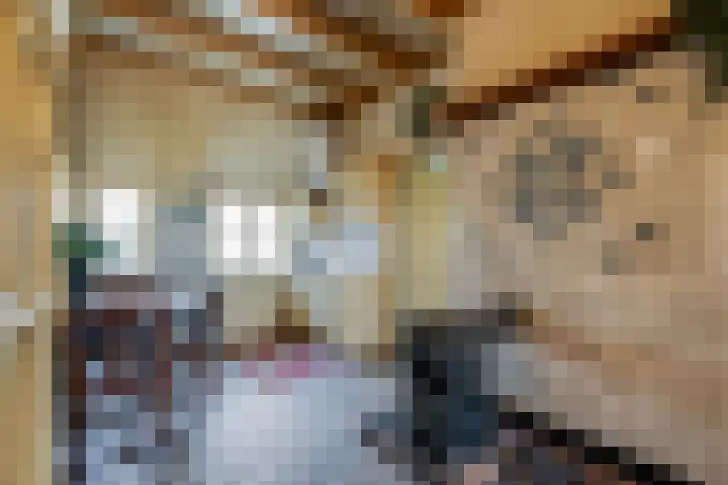 Glinthuisweg 15 Hasselt thumbnail 32