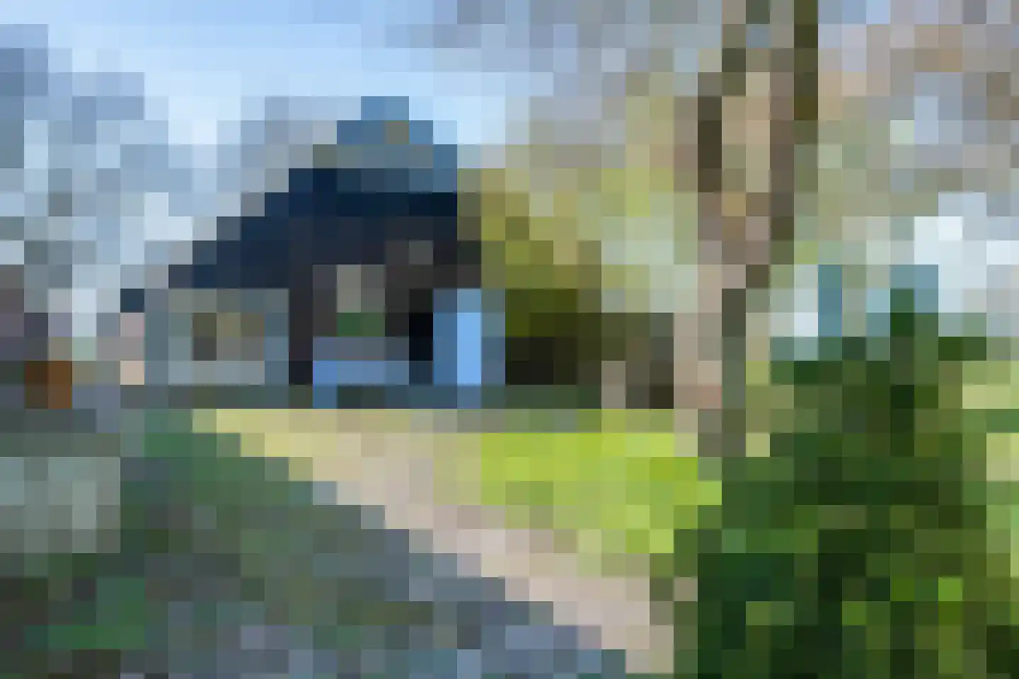 Glinthuisweg 15 Hasselt thumbnail 61