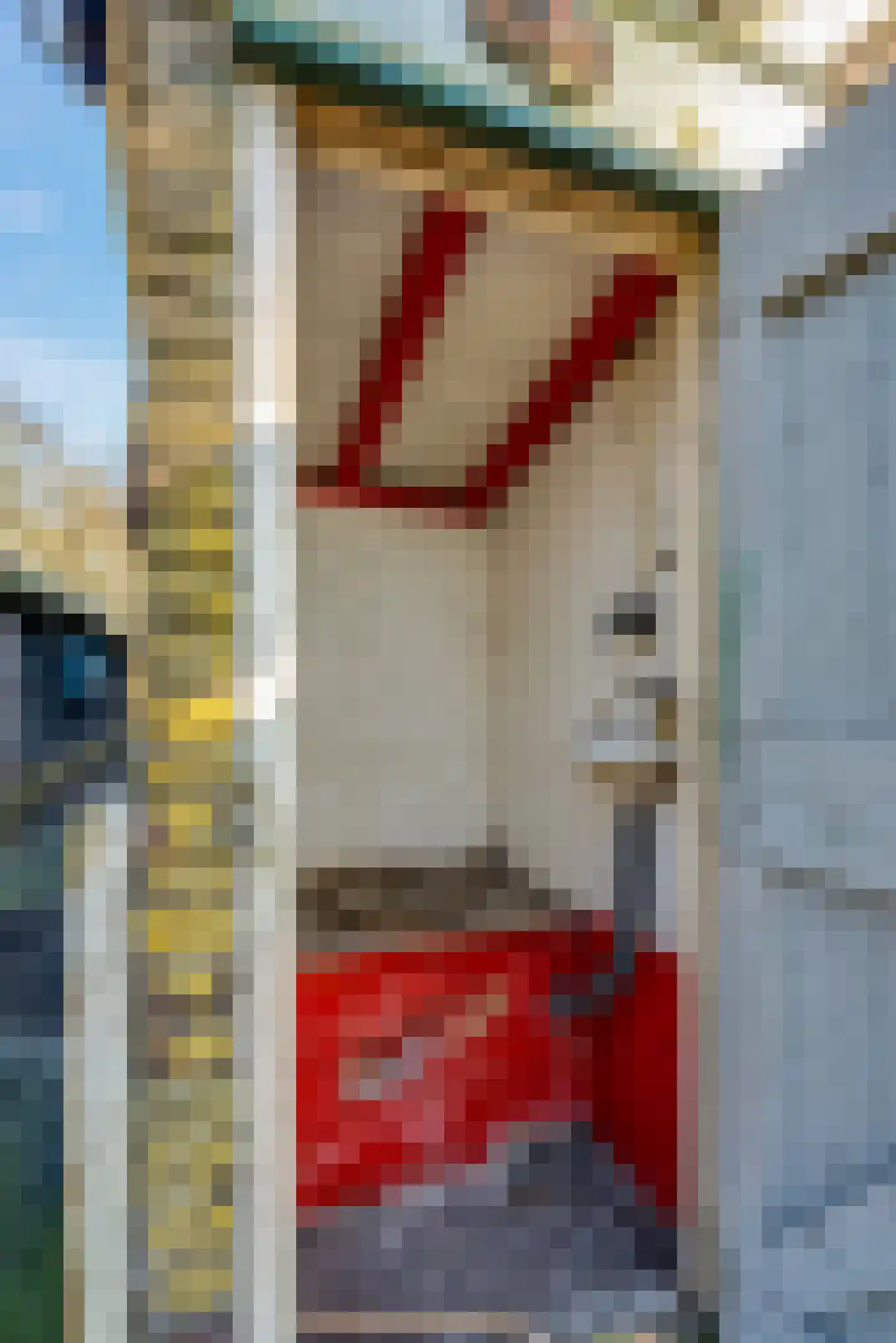Glinthuisweg 15 Hasselt thumbnail 96