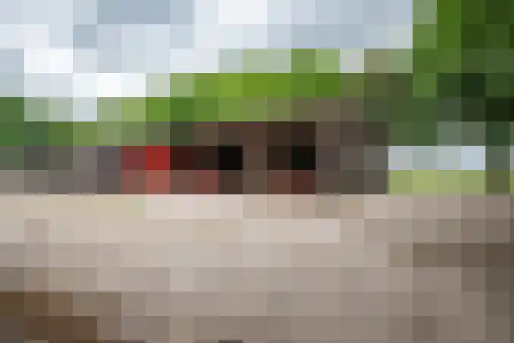 Glinthuisweg 31 Hasselt thumbnail 46