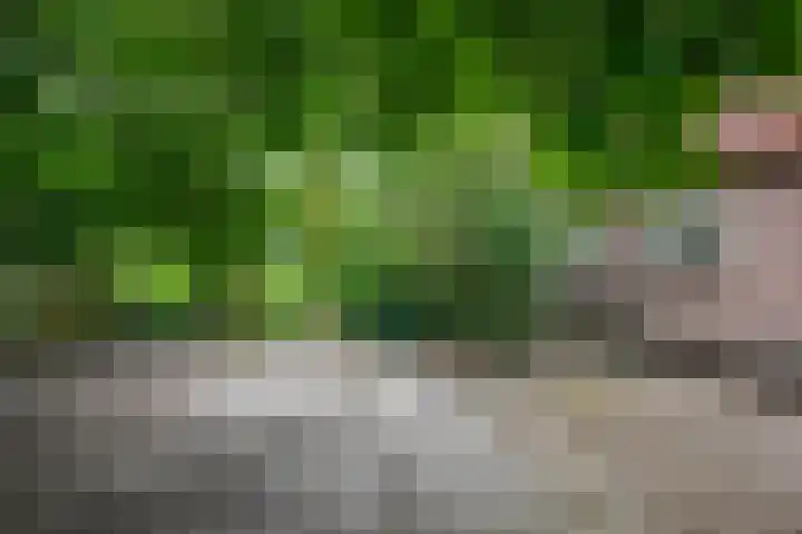 Glinthuisweg 31 Hasselt thumbnail 51