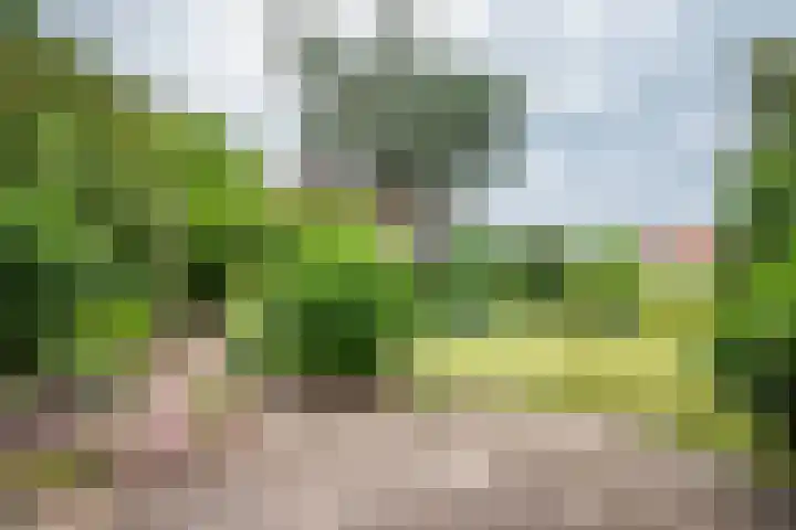 Glinthuisweg 31 Hasselt thumbnail 53