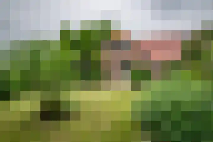 Glinthuisweg 31 Hasselt thumbnail 54
