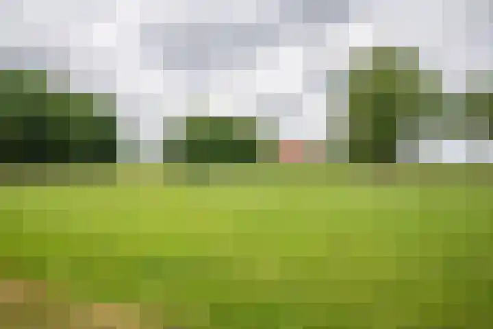 Glinthuisweg 31 Hasselt thumbnail 61