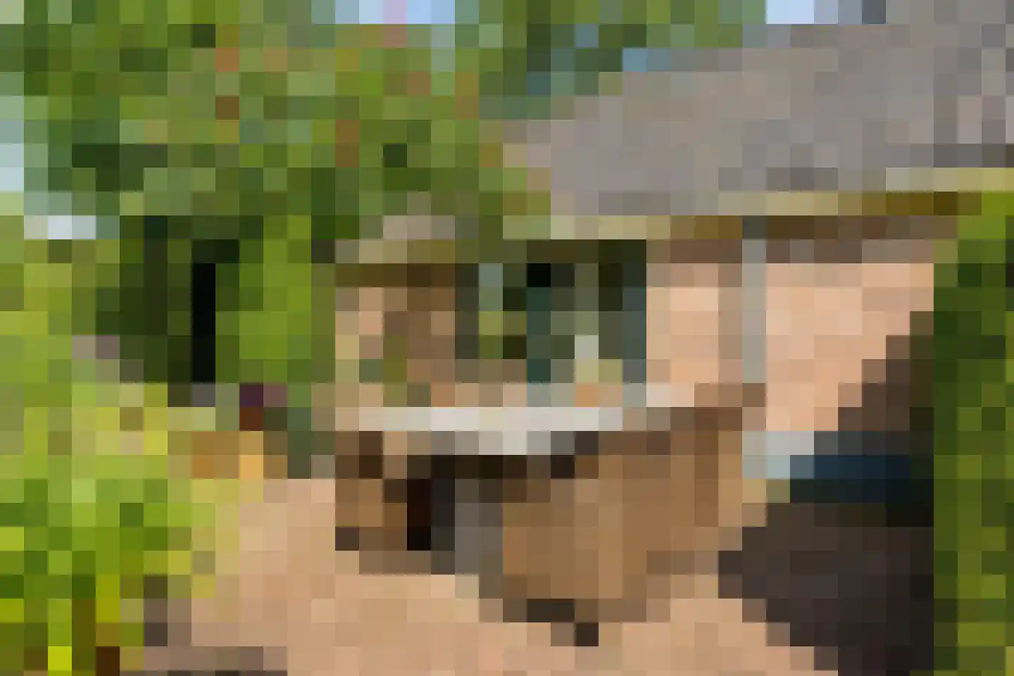 Glinthuisweg 7 Hasselt thumbnail 34