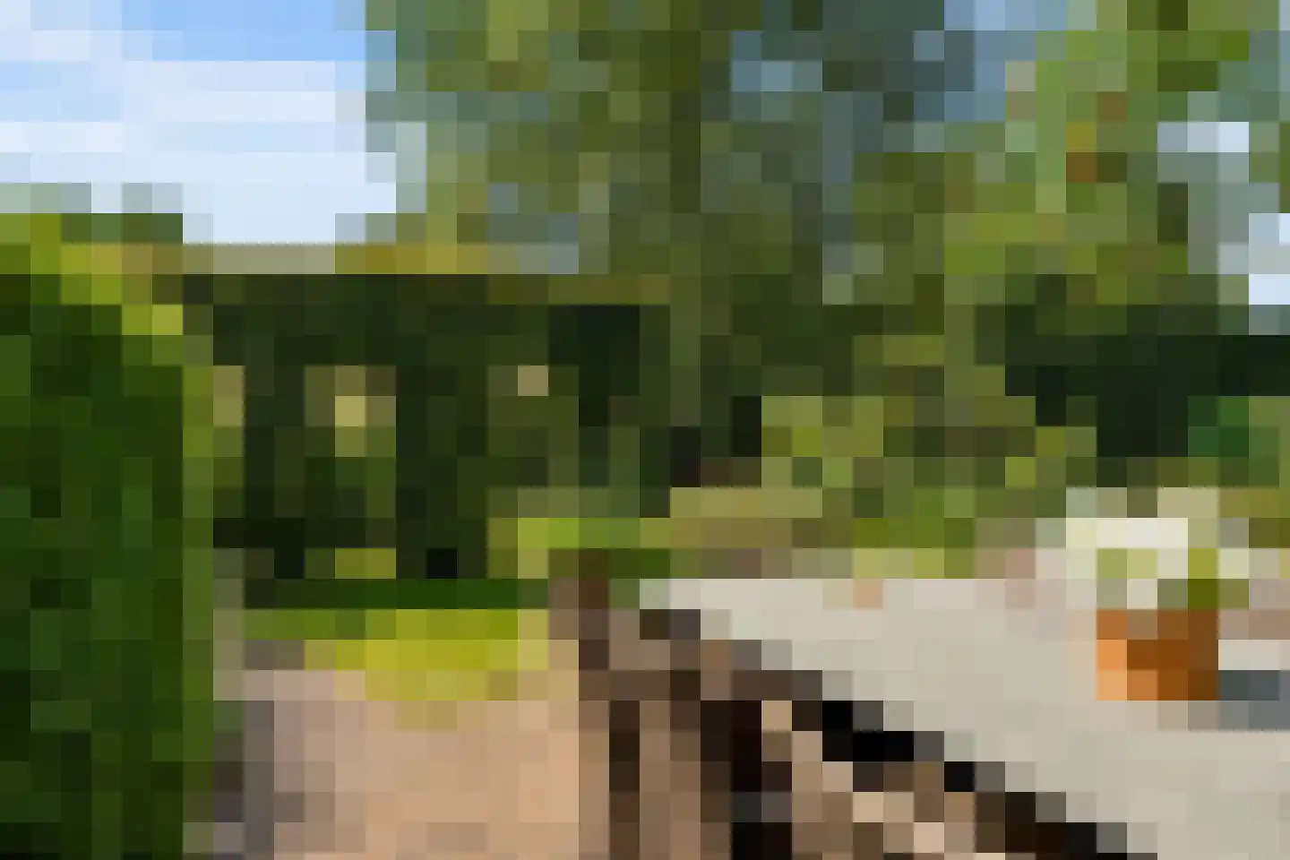 Glinthuisweg 7 Hasselt thumbnail 35
