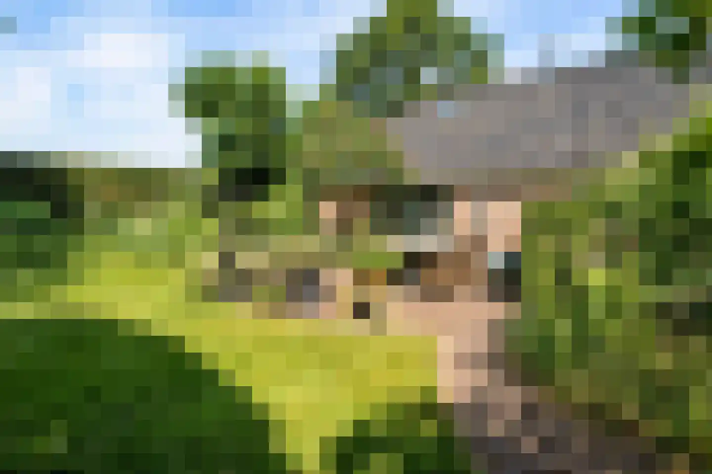 Glinthuisweg 7 Hasselt thumbnail 36