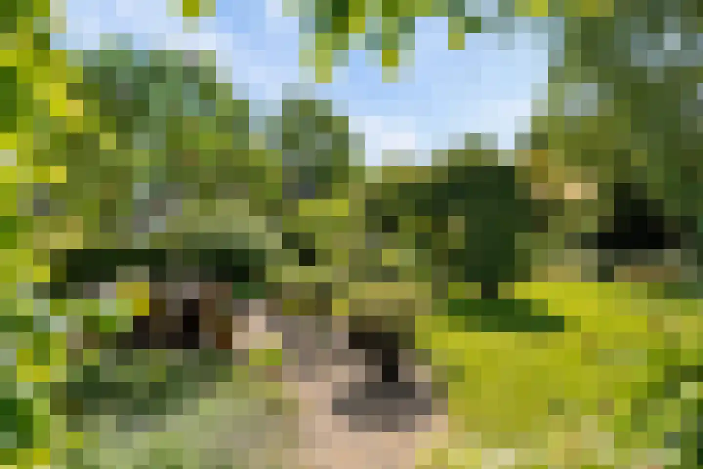 Glinthuisweg 7 Hasselt thumbnail 37