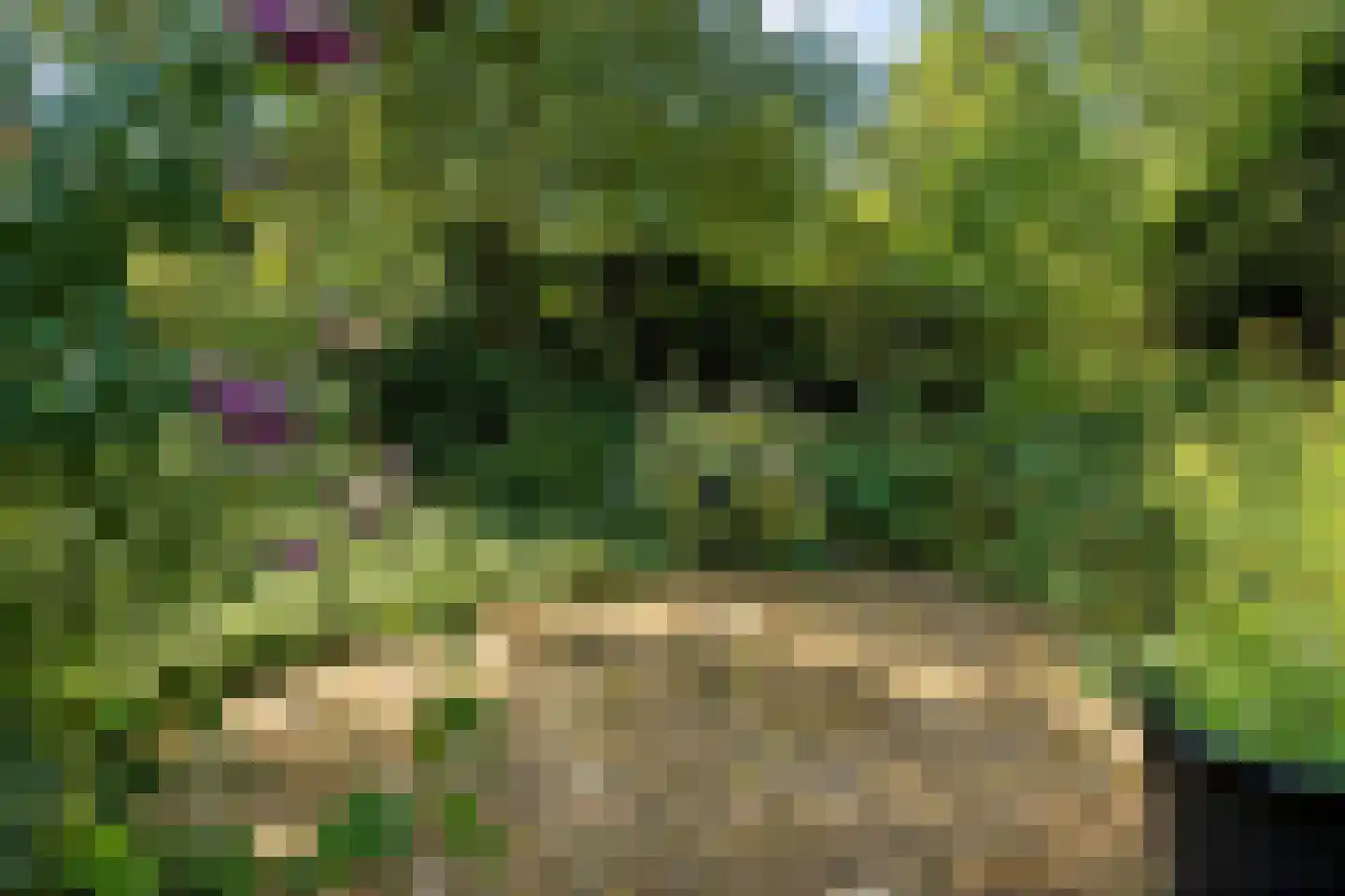 Glinthuisweg 7 Hasselt thumbnail 41