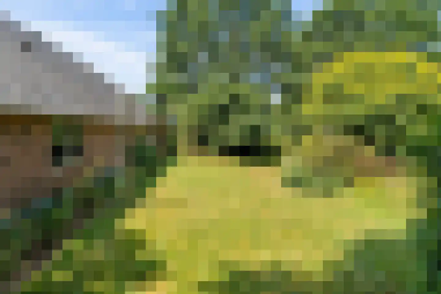 Glinthuisweg 7 Hasselt thumbnail 45