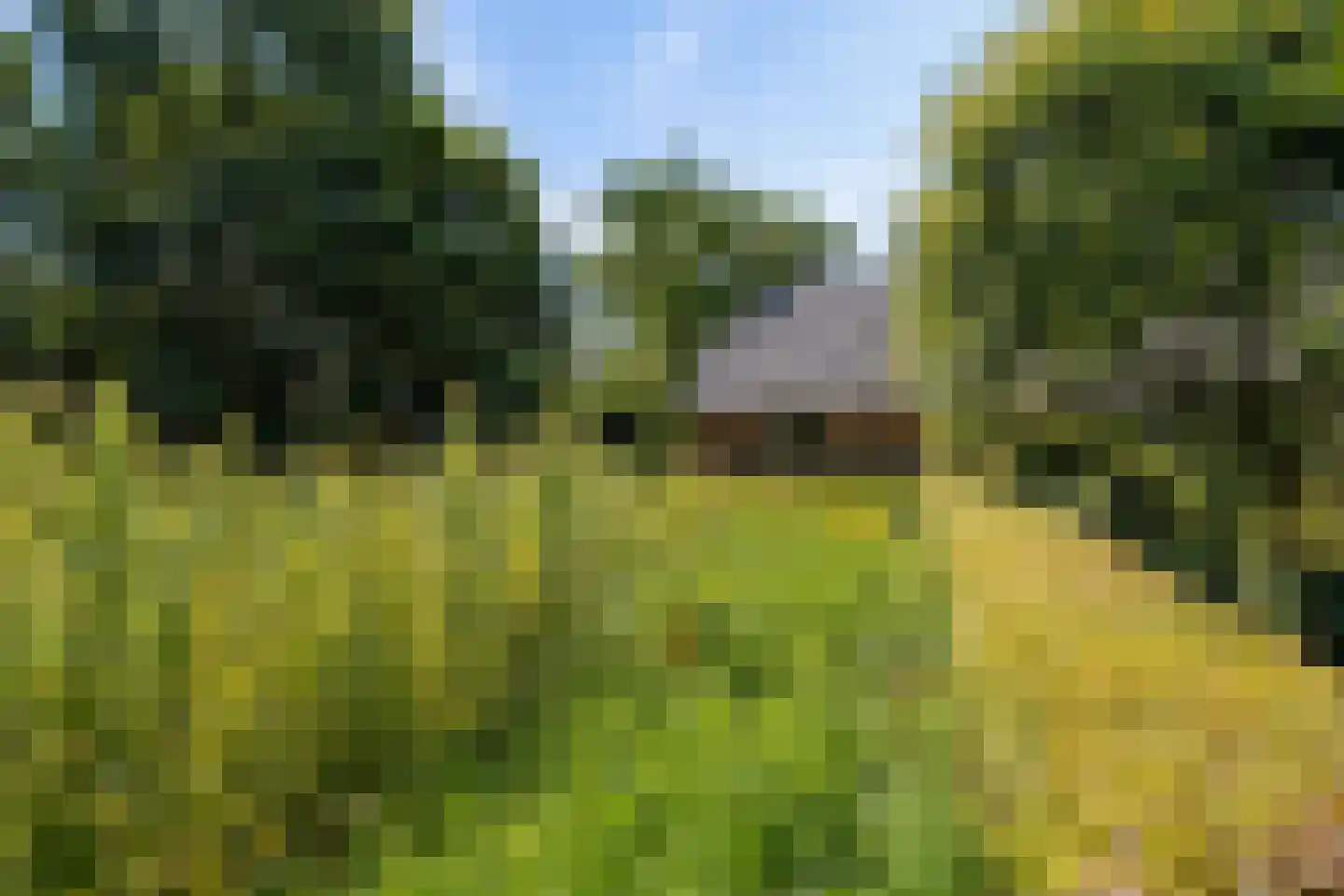 Glinthuisweg 7 Hasselt thumbnail 46