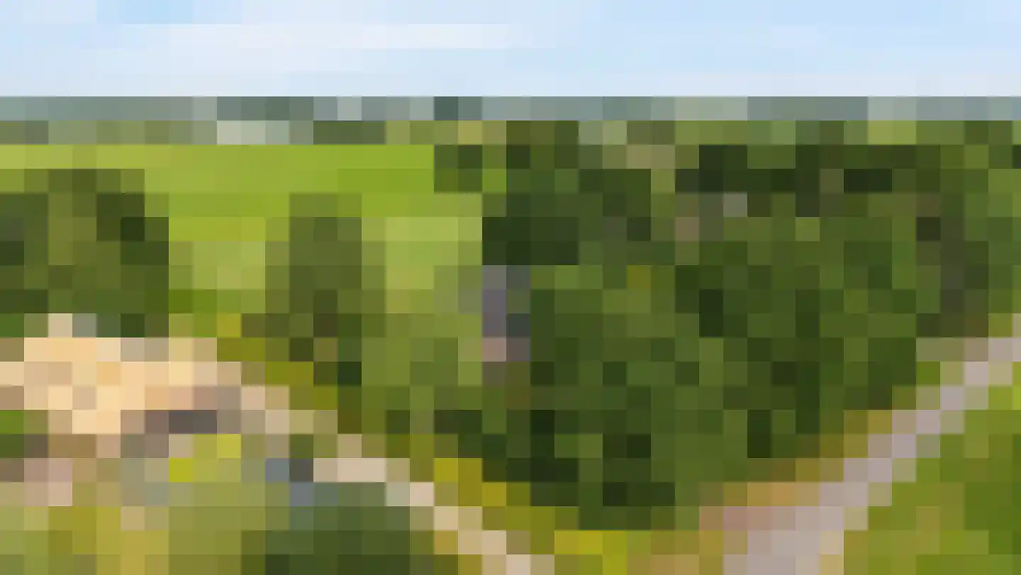 Glinthuisweg 7 Hasselt thumbnail 56