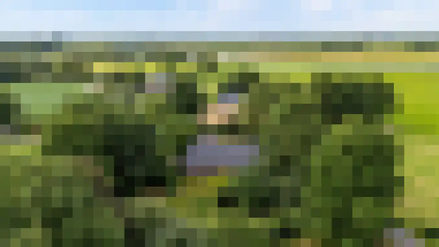 Glinthuisweg 7 Hasselt thumbnail 57