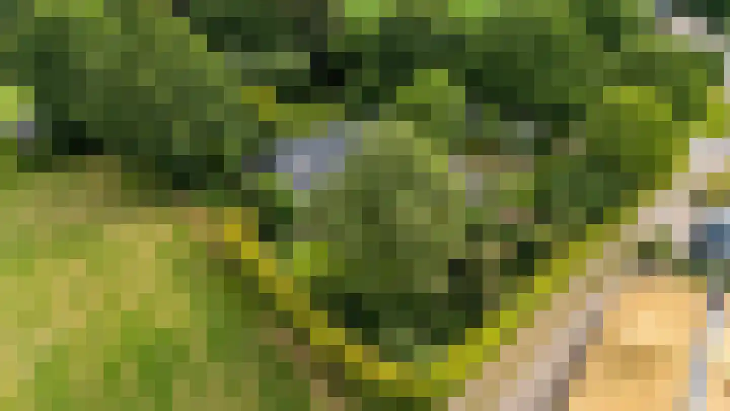 Glinthuisweg 7 Hasselt thumbnail 58