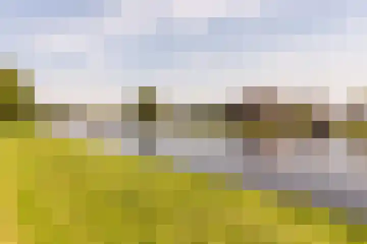 Glipper Dreef 32 Heemstede thumbnail 17