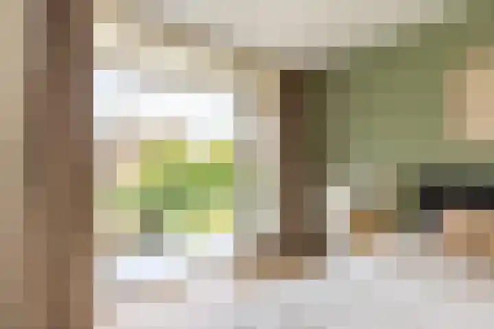Glipper Dreef 32 Heemstede thumbnail 7