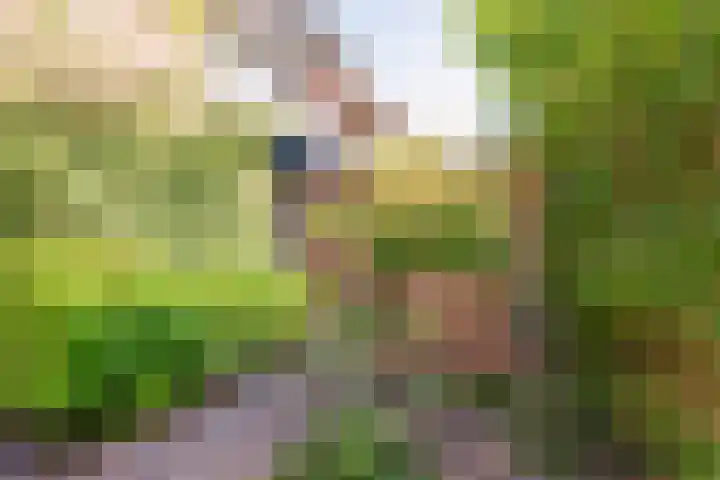 Glipper Dreef 44 Heemstede thumbnail 41