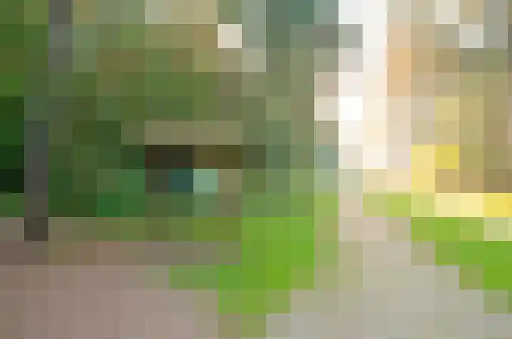 Glipper Dreef 44 Heemstede thumbnail 43