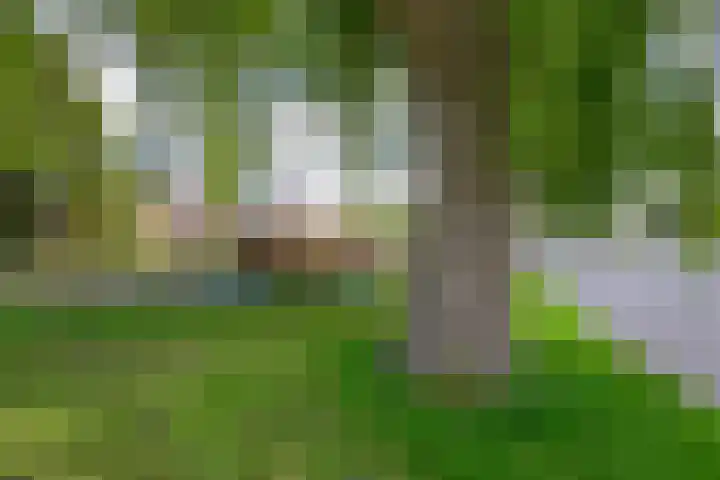Glipper Dreef 44 Heemstede thumbnail 48
