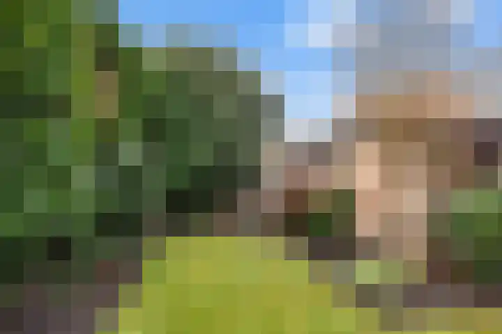 Glipperweg 22 Heemstede thumbnail 23