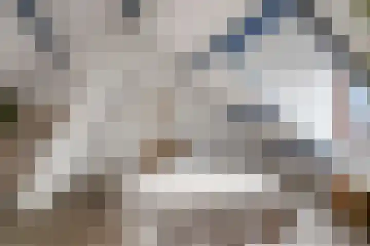 Glipperweg 22 Heemstede thumbnail 39