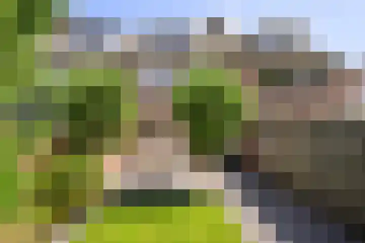 Glipperweg 23 Heemstede thumbnail 4