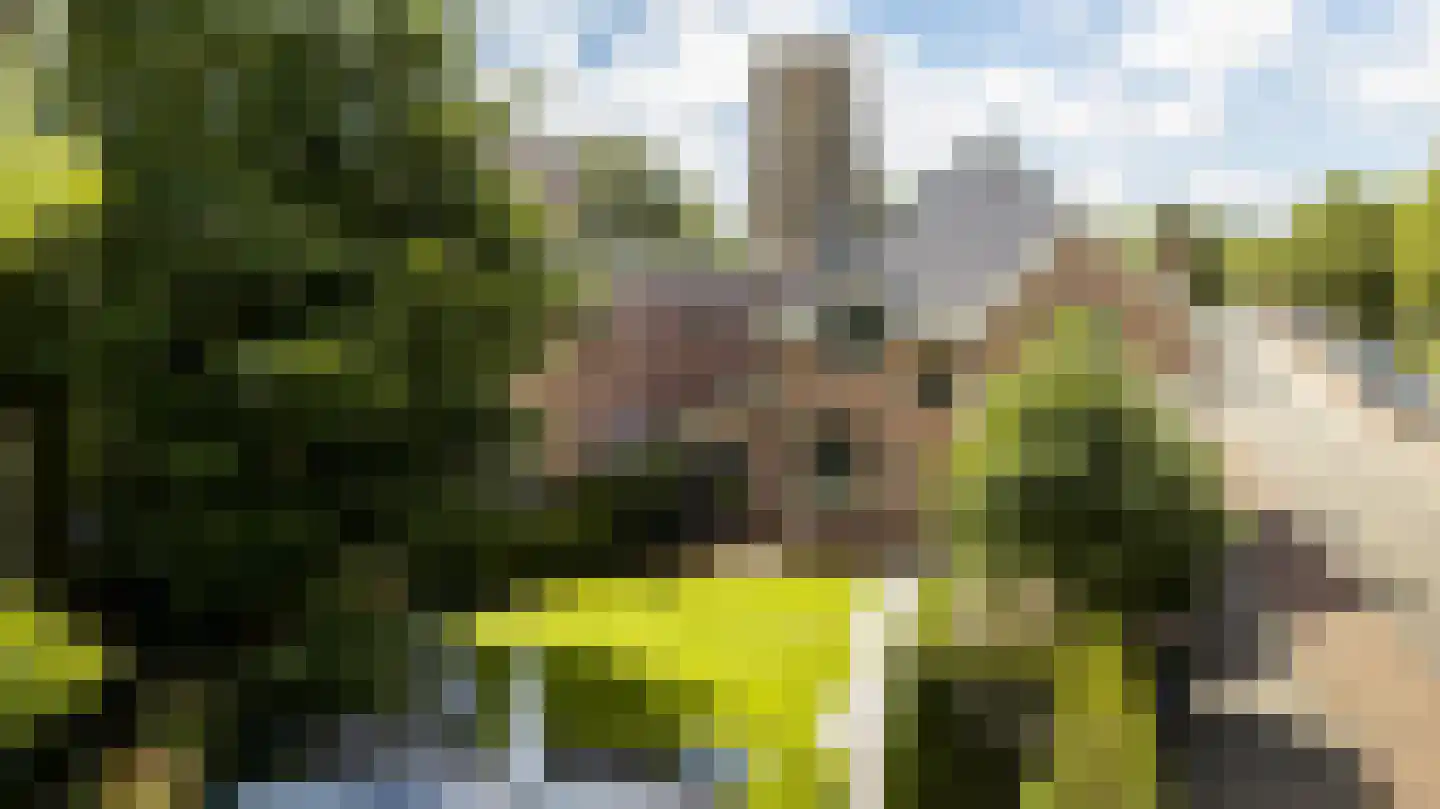 Glipperweg 96 Heemstede thumbnail 5