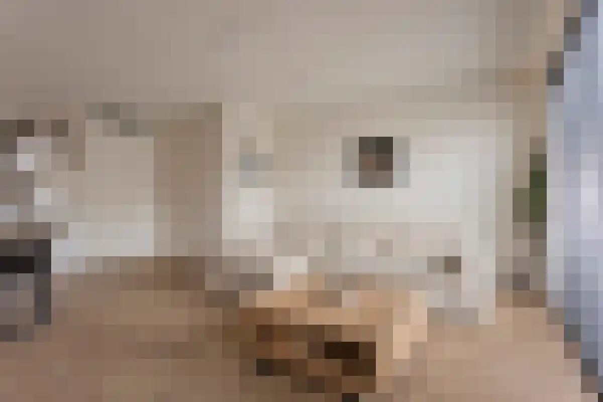 Glooiing 15 Eindhoven thumbnail 11
