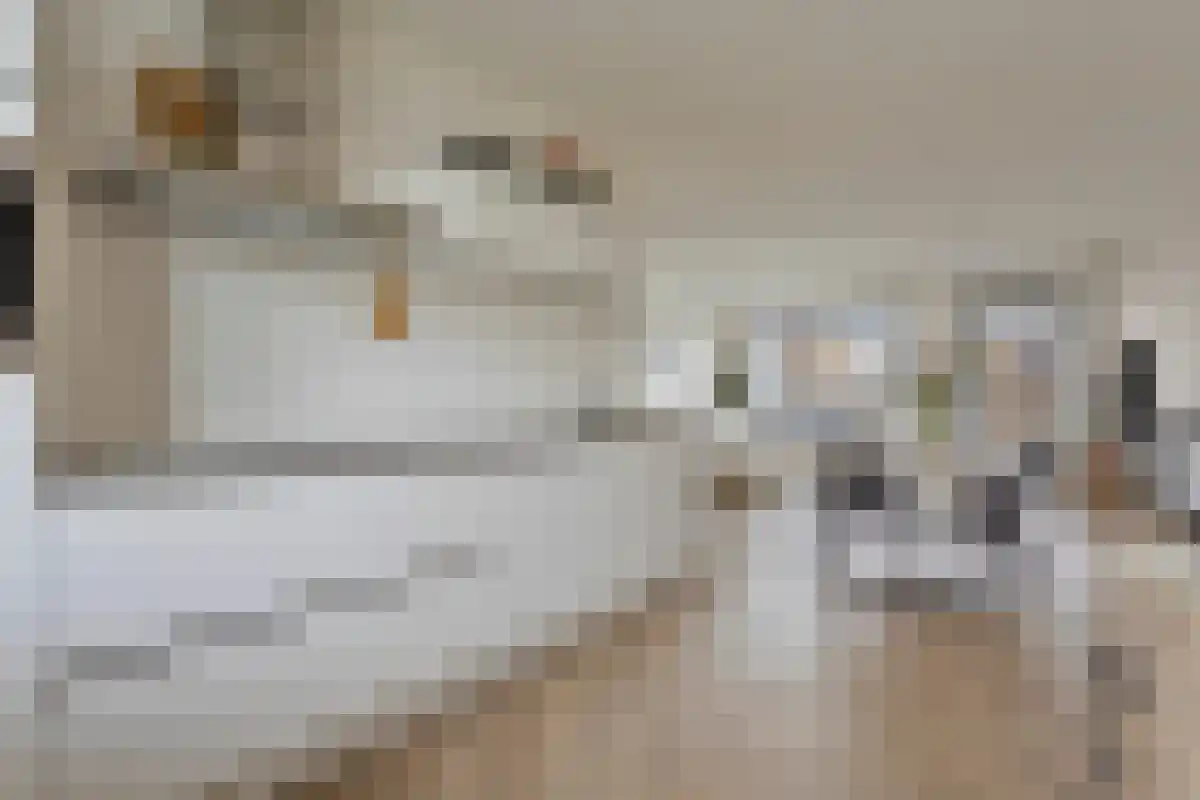 Glooiing 15 Eindhoven thumbnail 18