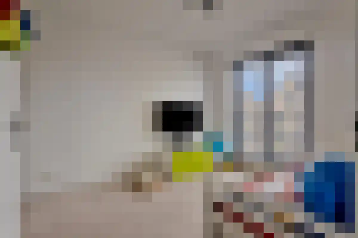 Glooiing 15 Eindhoven thumbnail 28