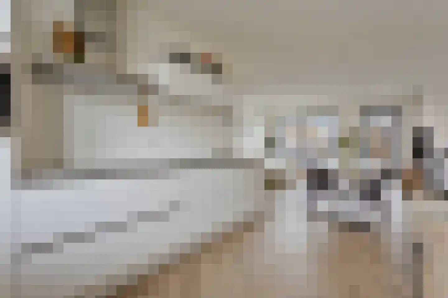 Glooiing 15 Eindhoven thumbnail 4