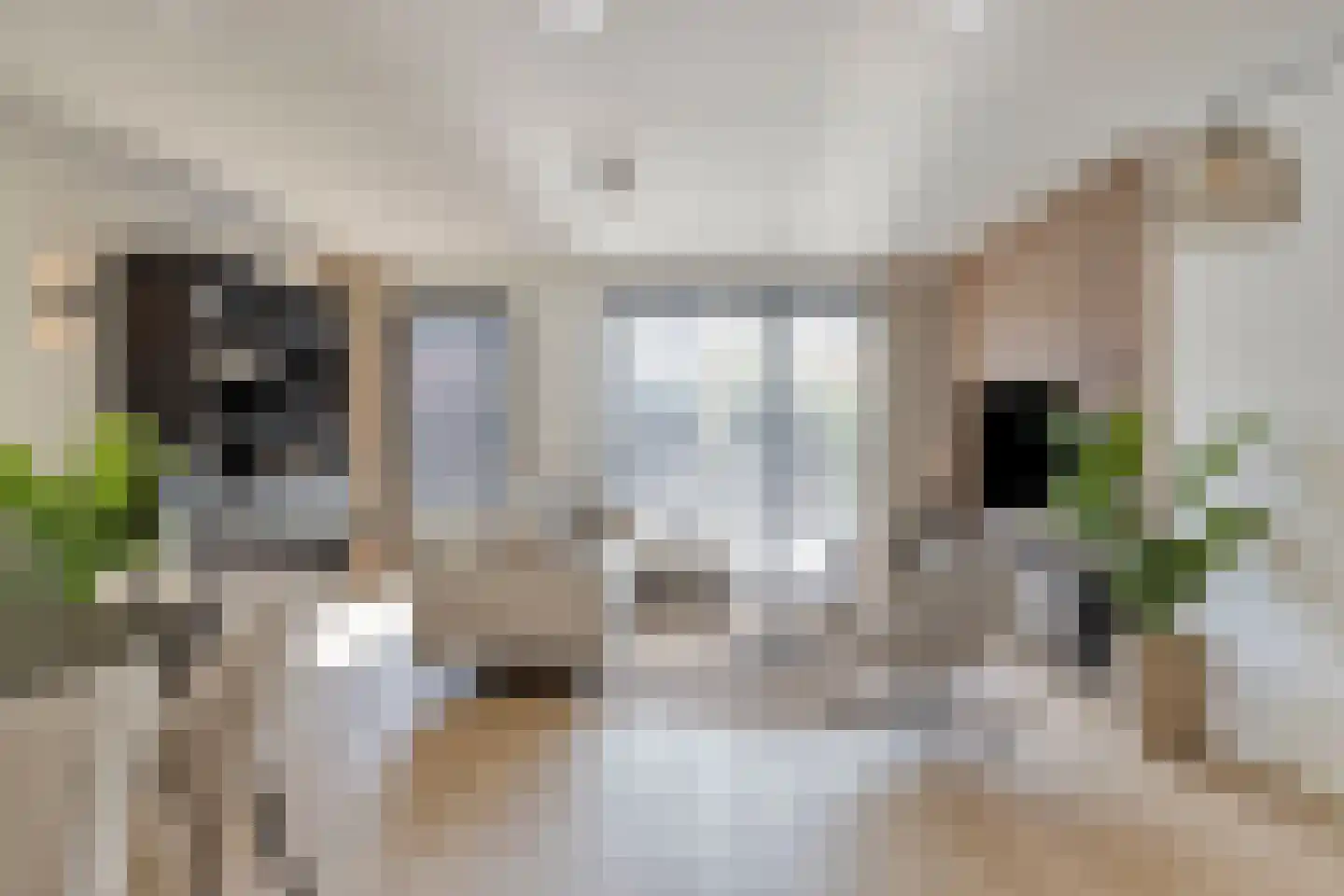 Glooiing 9 Eindhoven thumbnail 12