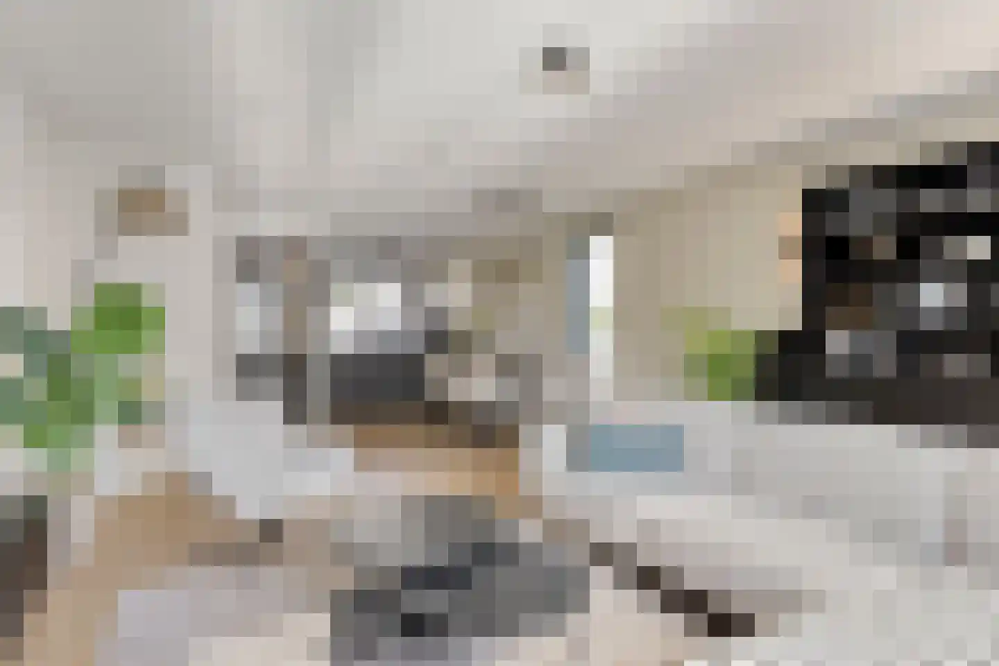 Glooiing 9 Eindhoven thumbnail 13