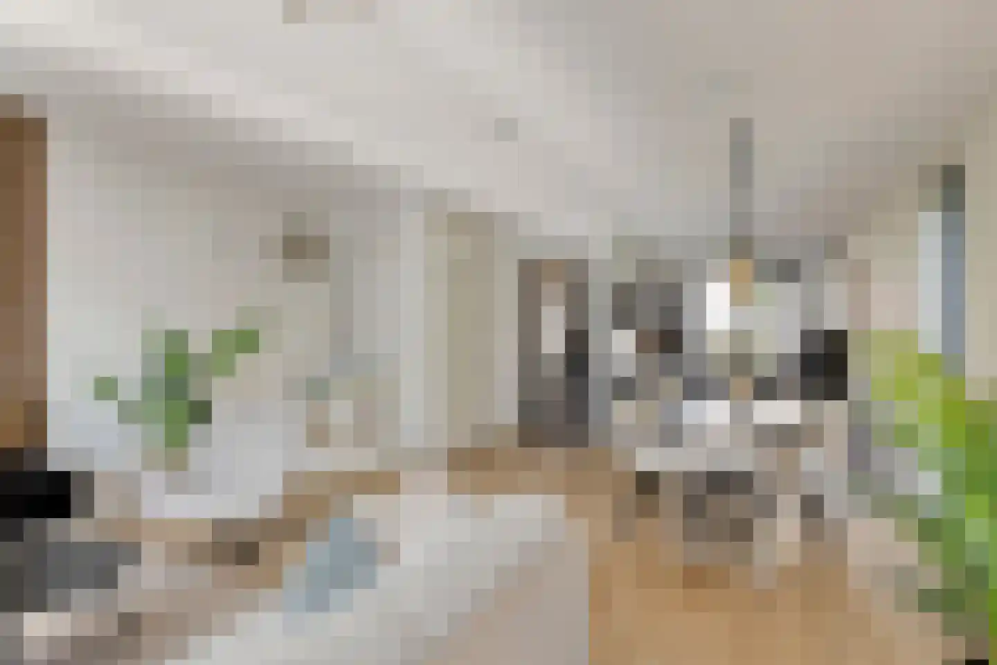Glooiing 9 Eindhoven thumbnail 13