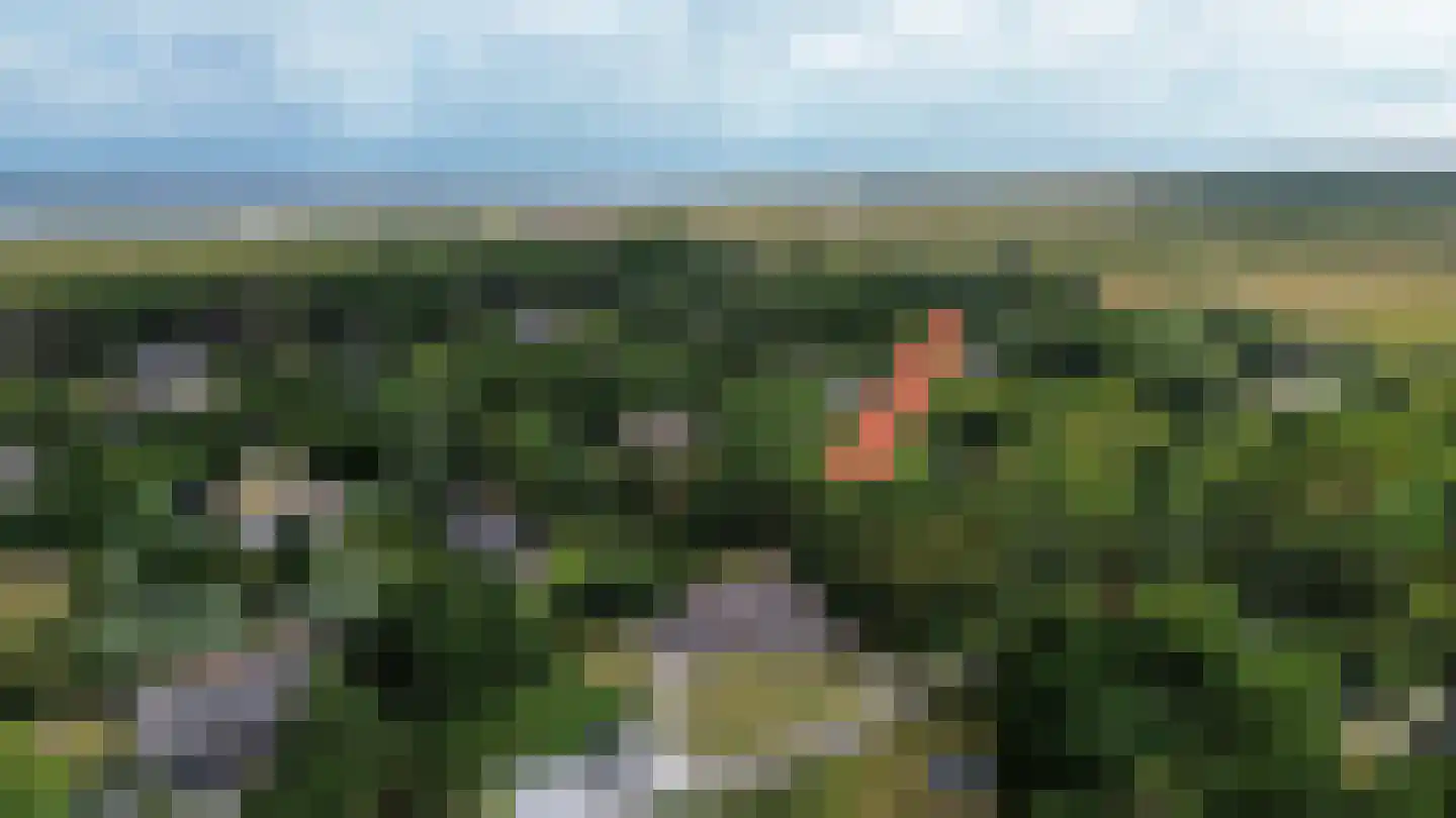 Glopweg 4 Buren thumbnail 13