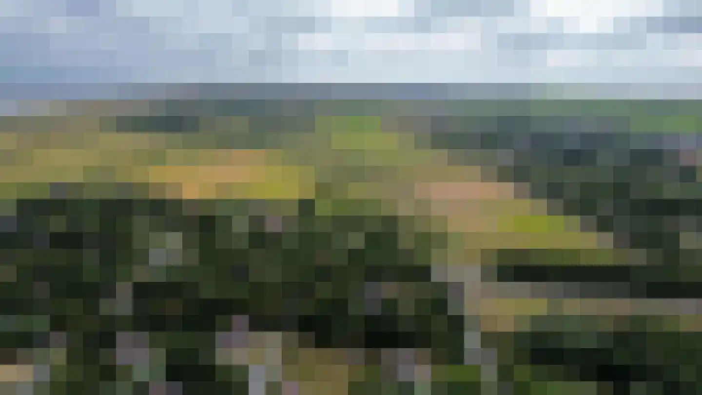 Glopweg 4 Buren thumbnail 14