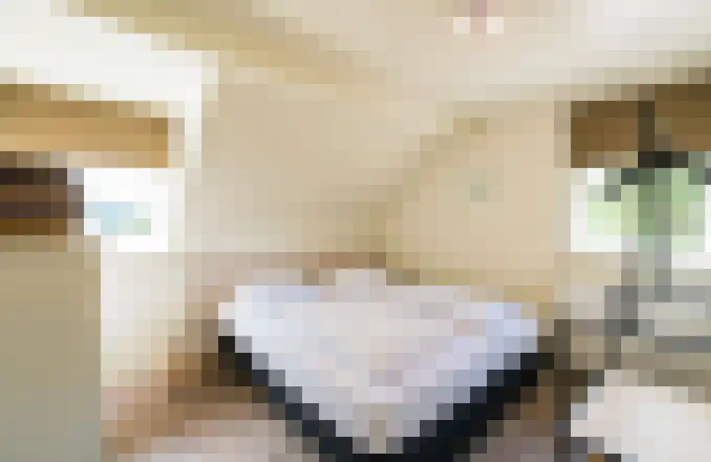 Glopweg 4 Buren thumbnail 4