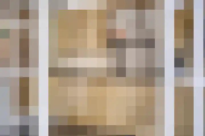 Glorialaan 28 Epe thumbnail 15