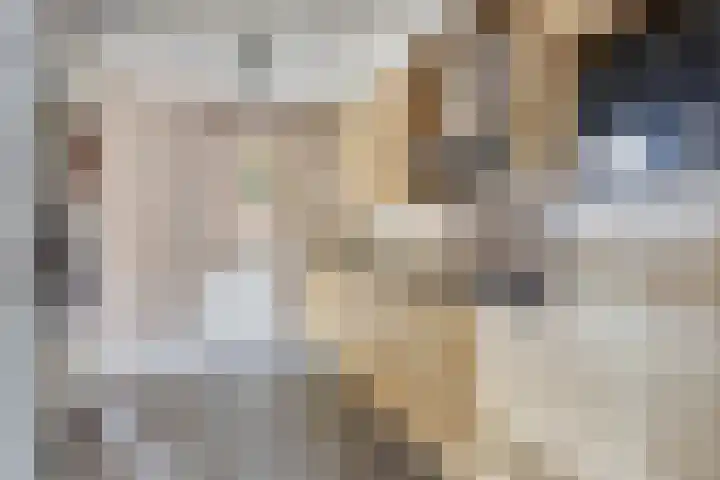 Glorialaan 28 Epe thumbnail 16