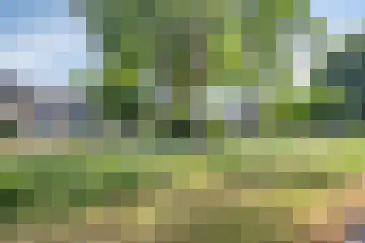 Glorialaan 28 Epe thumbnail 34