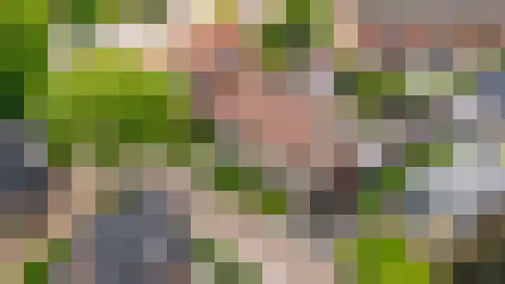Glorialaan 28 Epe thumbnail 36