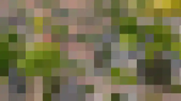 Glorialaan 28 Epe thumbnail 38