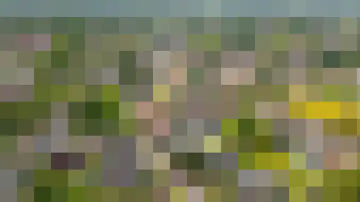 Glorialaan 28 Epe thumbnail 4