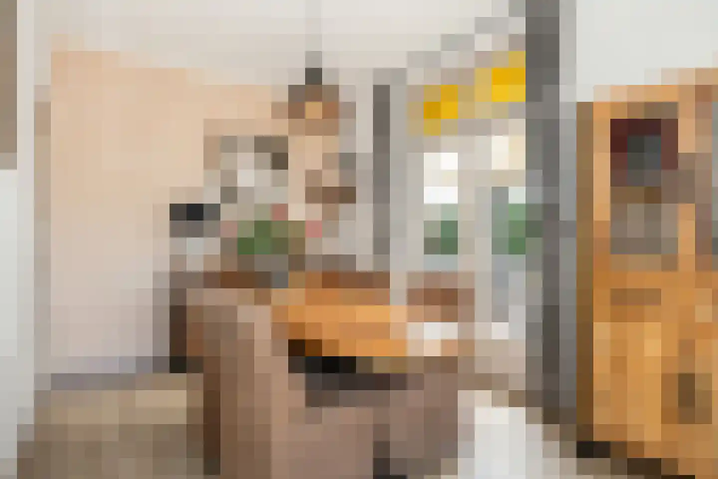 Glorialaan 29 Epe thumbnail 10
