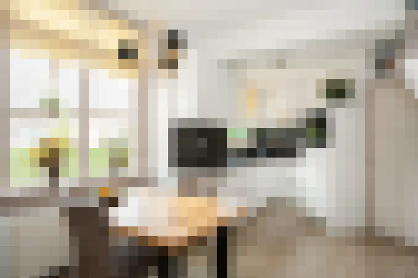 Glorialaan 29 Epe thumbnail 12