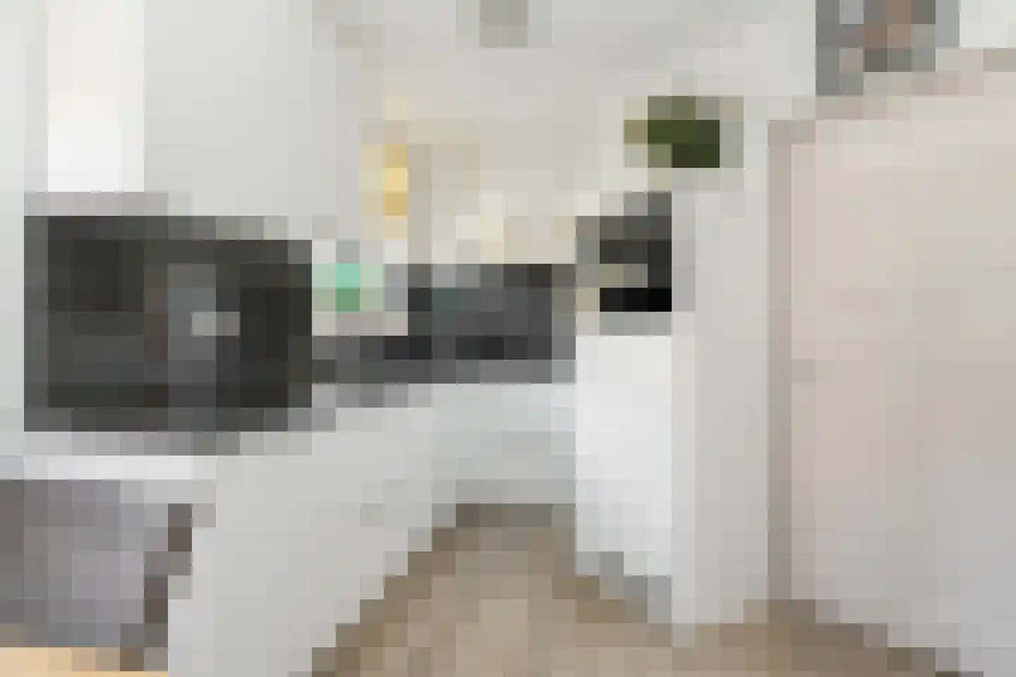 Glorialaan 29 Epe thumbnail 13
