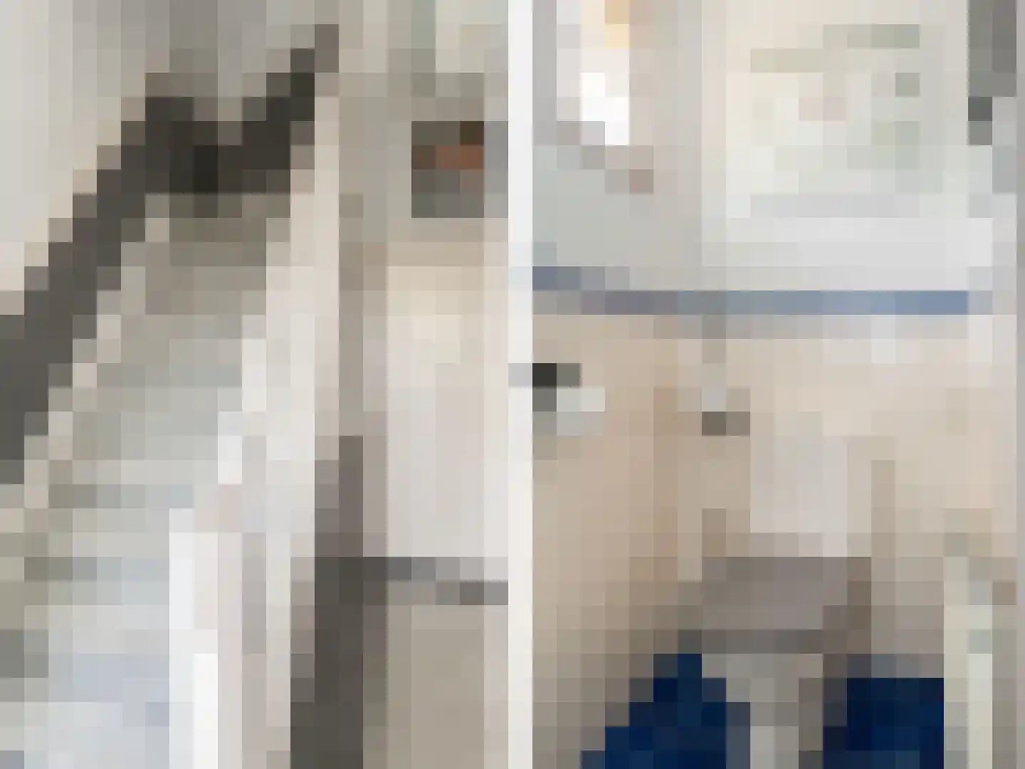Glorialaan 29 Epe thumbnail 17