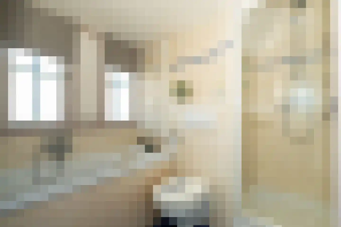 Glorialaan 29 Epe thumbnail 21