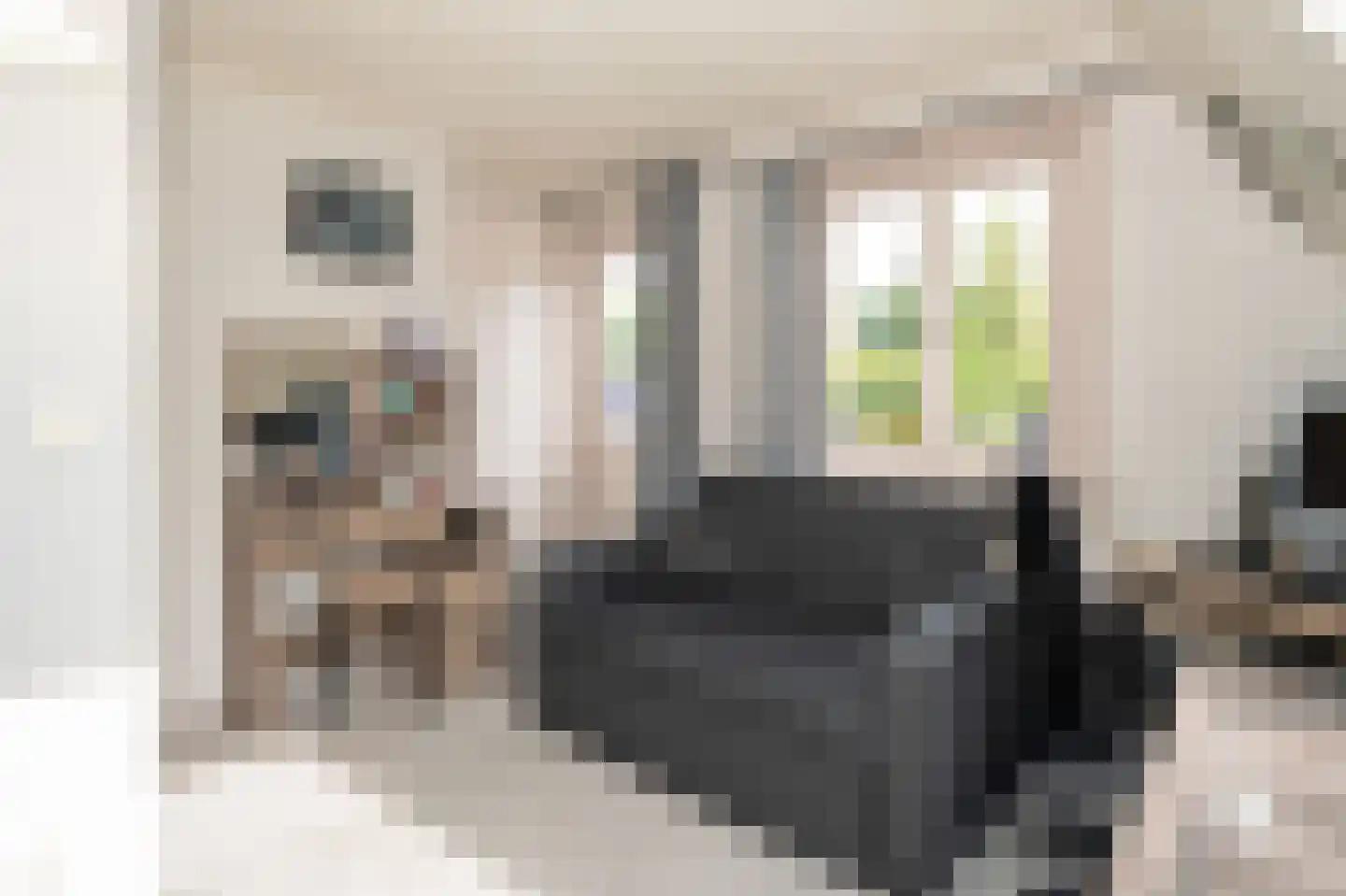 Glorialaan 29 Epe thumbnail 23