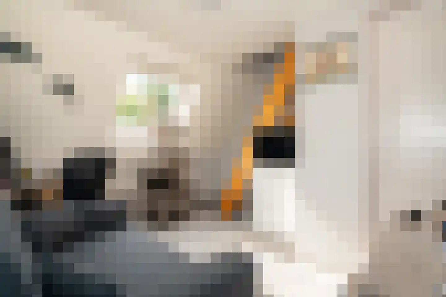Glorialaan 29 Epe thumbnail 24